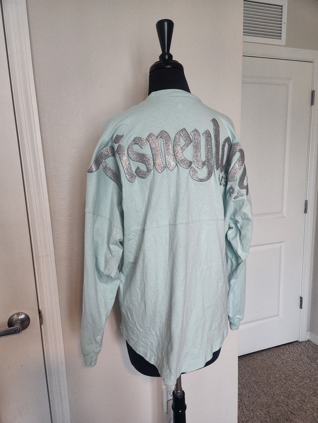 Disneyland Light Aqua Graphic Pullover
